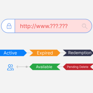 What Happens When Your Domain Expires